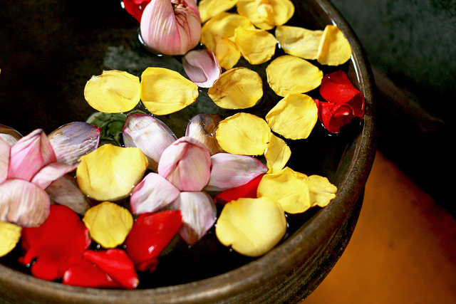 flowers in water