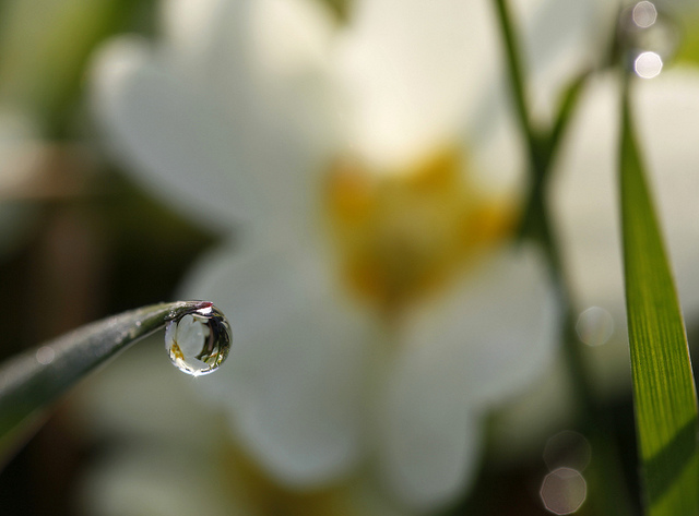 water droplets