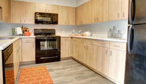 kitchen features
